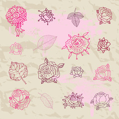 Rose set on a white background