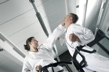 Door stickers Martial arts martial arts masters