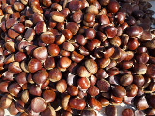 Brown chestnuts on a market place