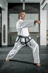 Wall murals martial arts master