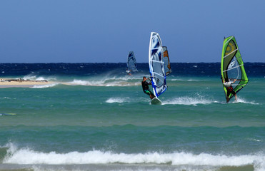 windsurf aux canaries