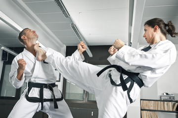 martial arts master