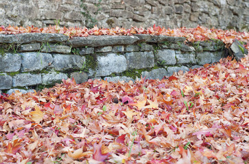 old stone wall and floor covered with dry leaves