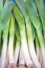Fototapeta premium Fresh healthy bio leek on farmer market