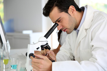 Doctor in biology working on microscope