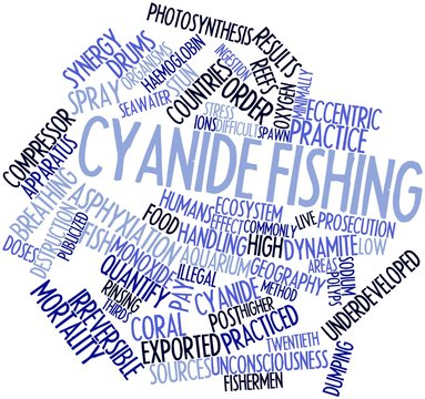 Word cloud for Cyanide fishing
