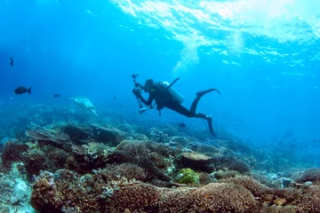 Fotobehang Underwater photographer on a coral reef © Tatiana Belova