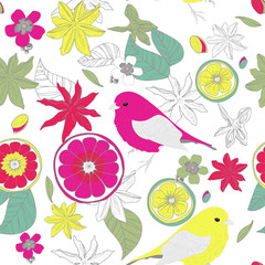 Fruits and birds