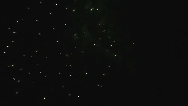 Fireworks in the night sky