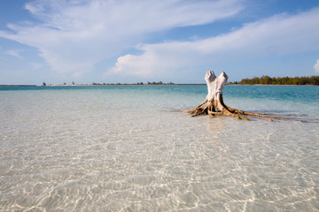 Tropical beach with white sand