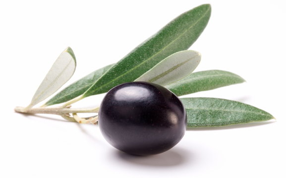 Ripe Black Olive With Leaves.