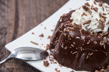 Homemade Chocolate Pudding on a plate