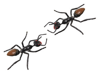 Plastic Toy Ants