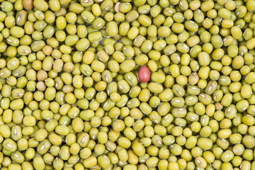 Green mung beans background