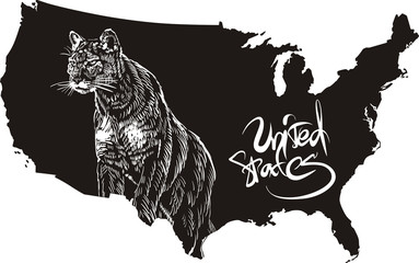 Fototapeta premium Cougar and U.S. outline map