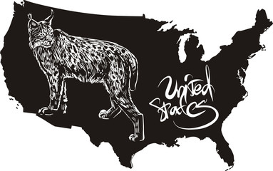 Lynx and U.S. outline map