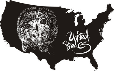Opossum and U.S. outline map