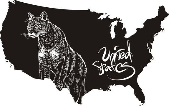 Cougar And U.S. Outline Map