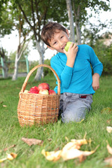 little boy posing outdoors with apples
