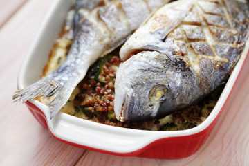 dorada fish