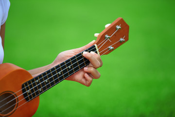 ukulele