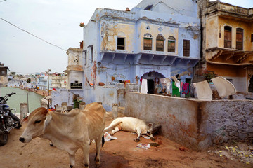 india