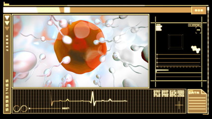 Digital interface showing egg cell fertilization - Powered by Adobe