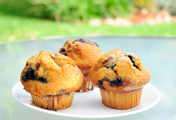Yummy Blueberry Muffins