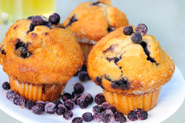 Blueberry Muffins on White Plage and Tea