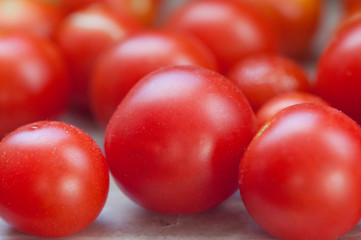 Red Tomatoes