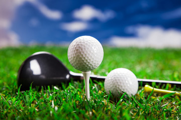 Let's play a round of golf!