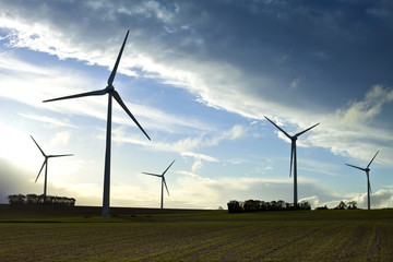 Obraz premium Campagne, énergie, éolienne, renouvelable, écologique