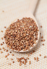 buckwheat in a wooden spoon
