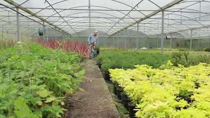 Gardener and grandchild walking through greenhouse - Powered by Adobe