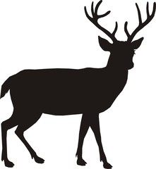 pictogramme cerf