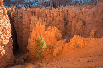 Bryce Canyon