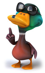 Fun duck