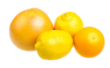 Fruits citrus