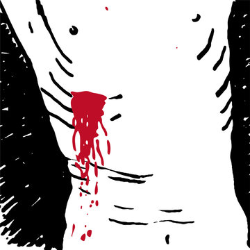 costato di Ges&ugrave;