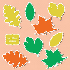 Set of leaf stickers. Vector illustration