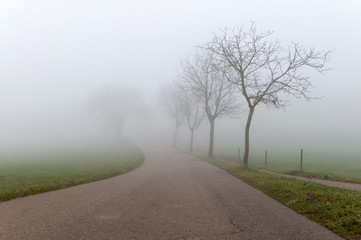 nebel