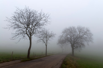 Fototapeta na wymiar mgła