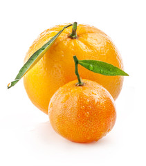 Orange and tangerine with water drops isolated on white