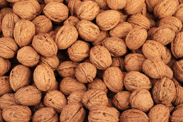 Walnuss - hintergrund
