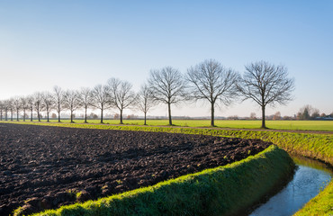 Fototapeta na wymiar Holenderski landcape jesienią
