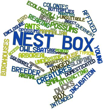 Word cloud for Nest box