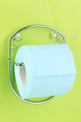Roll of toilet paper on  holder fixed to wall