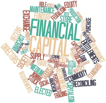 Word cloud for Financial capital