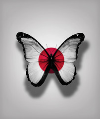 Japan flag butterfly, isolated on flag background
