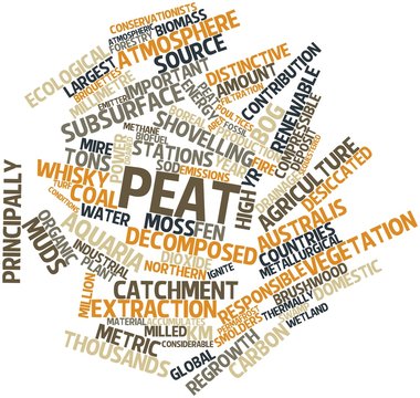 Word cloud for Peat
